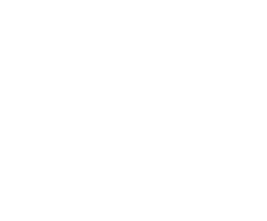 Horseless Carriage