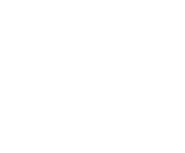 Horseless Carriage
