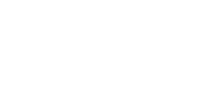 Auto Prime LLC