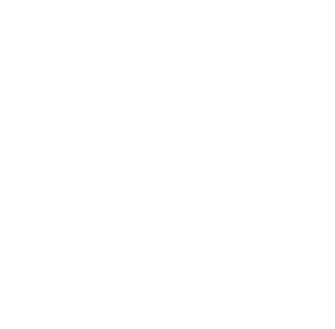 Top Motors