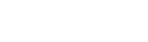 Your Local Car Guy MO LLC