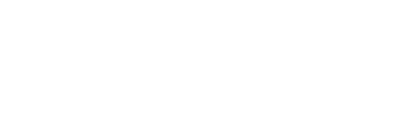 Your Local Car Guy MO LLC