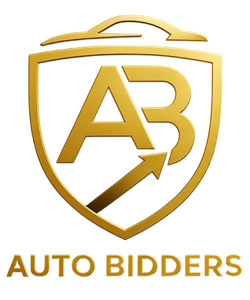 AUTO BIDDERS LLC
