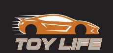 Toy Life of South Florida llc