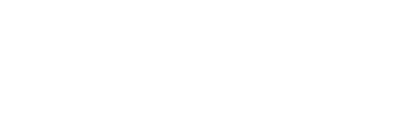 MSJ FAMILY AUTO SALES LLC
