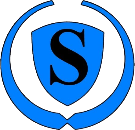 SKY MOTORS LLC