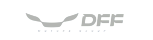 DFF Motors Group LLC