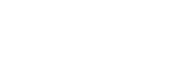 Dynamis Auto Group