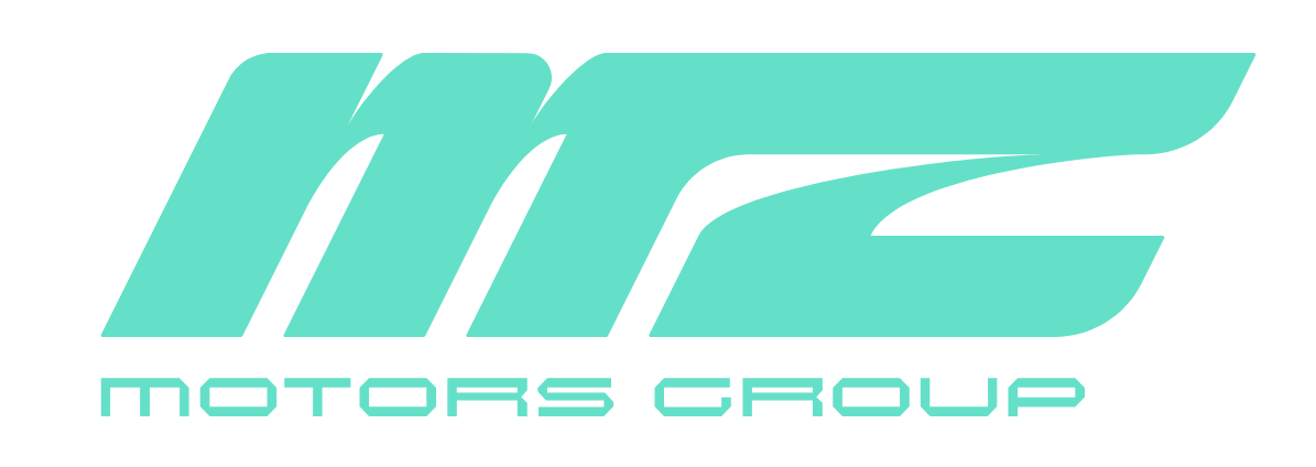 MZ MOTORS GROUP LLC