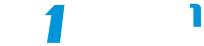 ALFA 1 MOTORS LLC