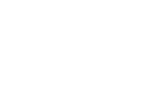 Armendariz Auto Sales LLC