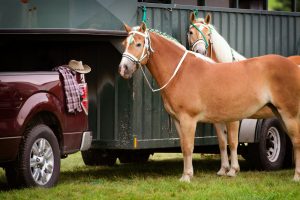 What Trucks Can Tow a Living Quarter Horse Trailer