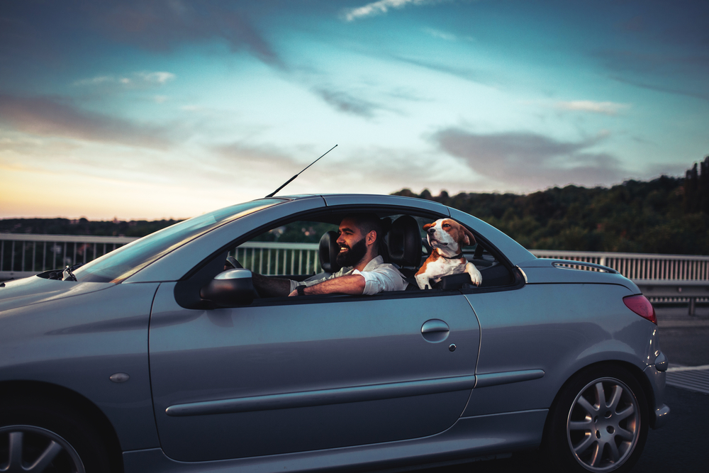 The Best Cars For Drivers With Long Legs Include These Models