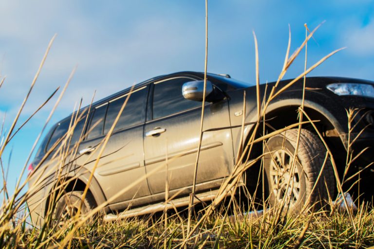 What is the Best Utility Vehicle for a Small Farm?