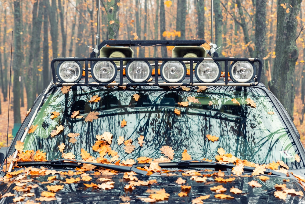 What is the Best Hunting Vehicle?