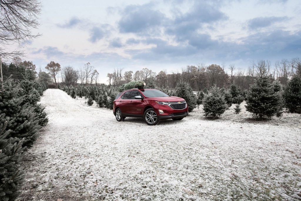 Tips for Transporting Christmas Trees Prepare for the Holidays