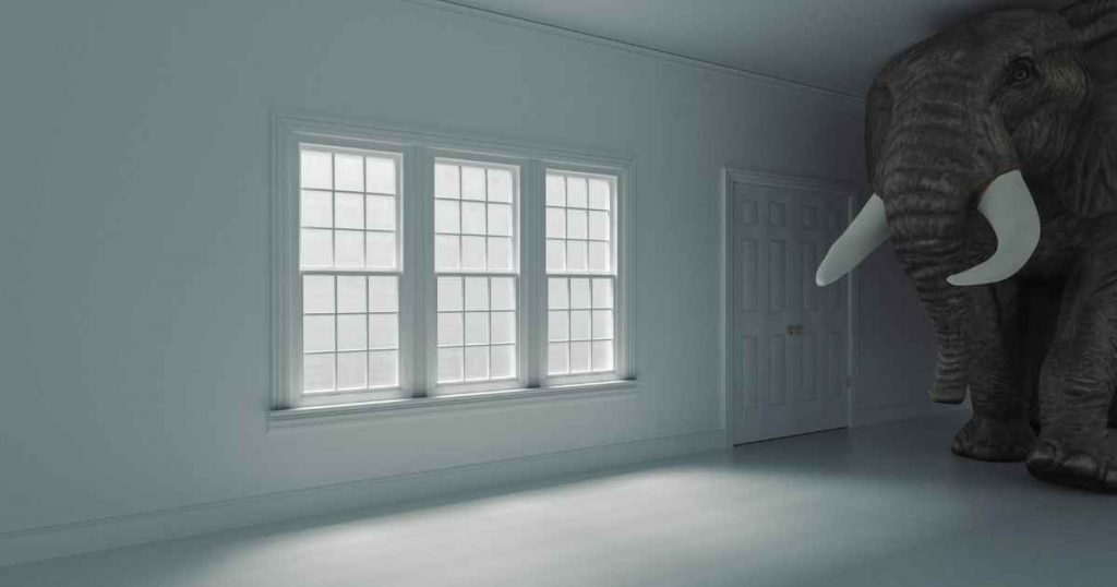 an elephant in a corner of a big empty room depicting the loan balance of a trade in