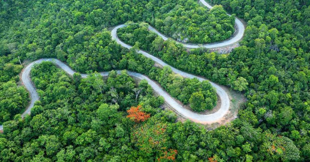 a winding road in the middle of a forest showing the twists and turns of 500 down cars