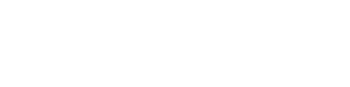 Michigan Auto Sales LLC