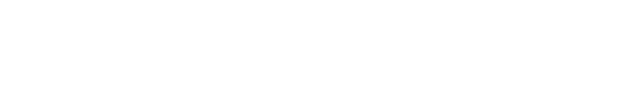 CEO Auto Group