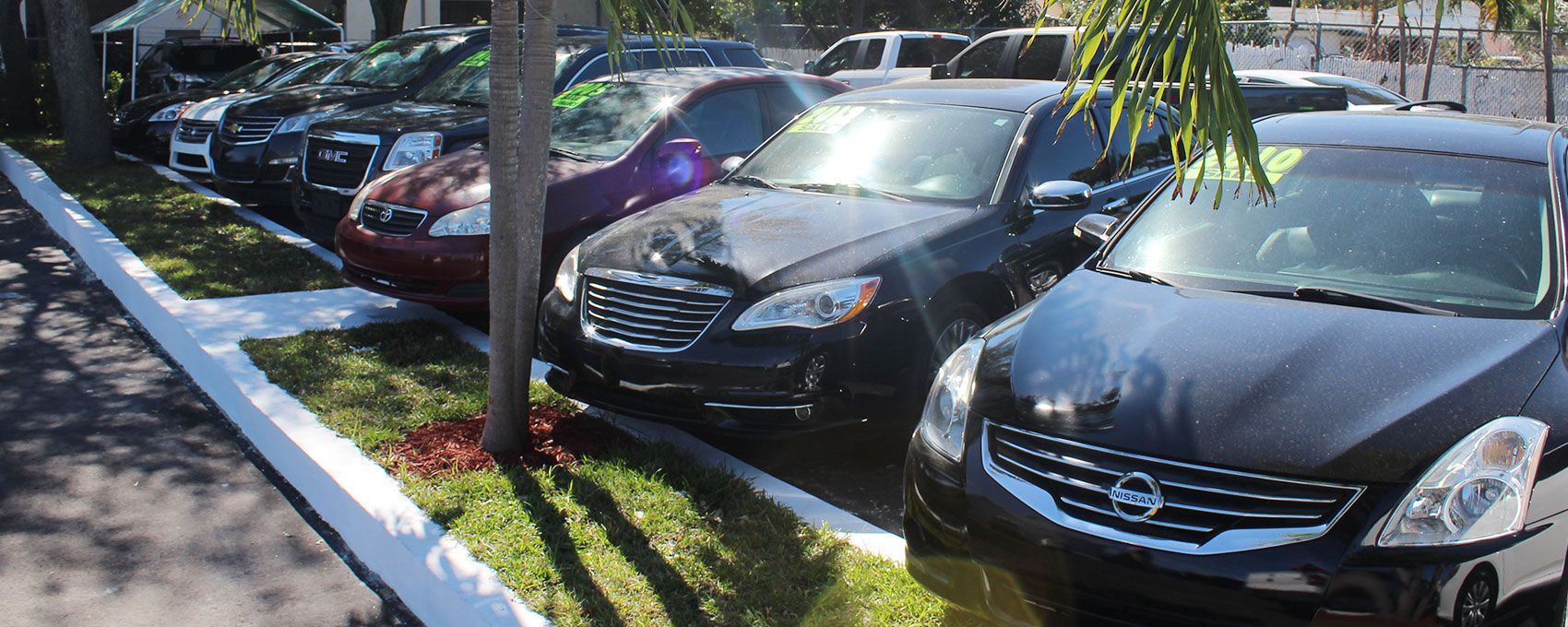 Marciano Auto Cars Display