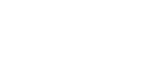 LSM Auto Mall LLC