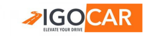IGOCAR INC