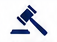 Auction Bidding Icon