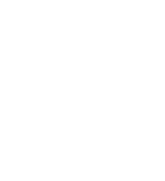 Shield Icon
